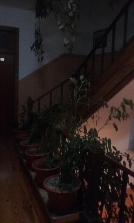 Pensao Avenida Hotel Пенакова Екстериор снимка