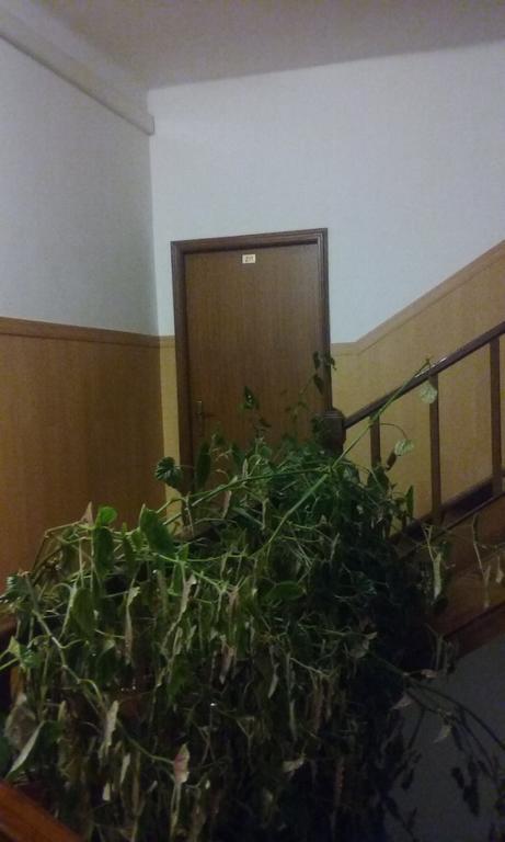 Pensao Avenida Hotel Пенакова Екстериор снимка